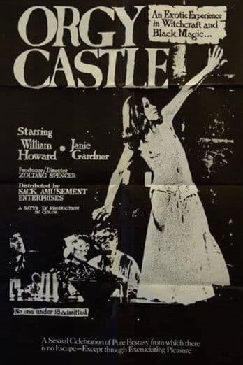 Terror at Orgy Castle poster