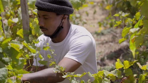 The Two Eighty Project poster