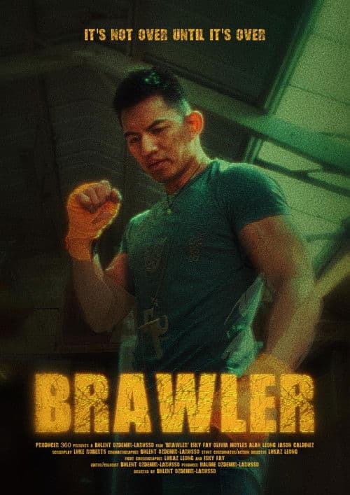 Brawler poster