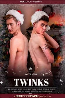 Toys For Twinks poster