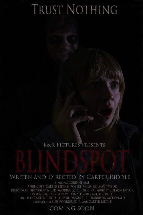BLINDSPOT poster