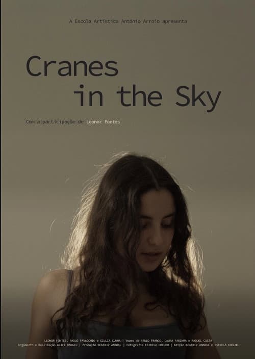 Cranes in the Sky poster