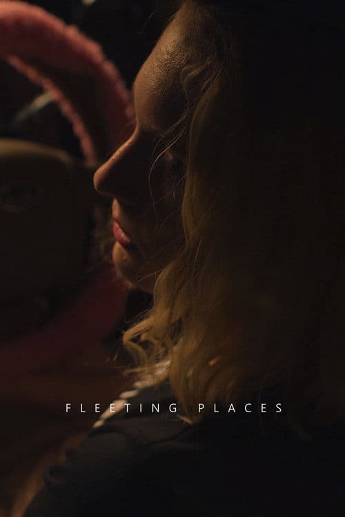 Fleeting Places poster