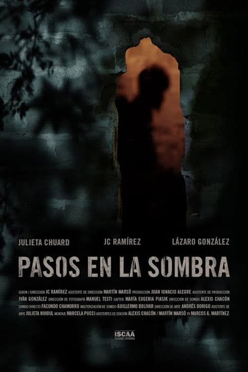 Pasos en la sombra poster