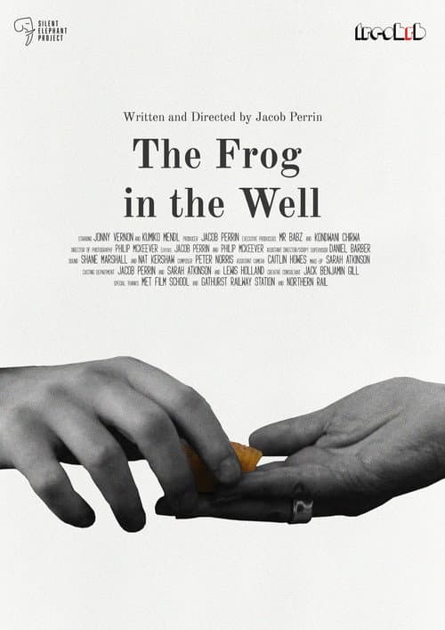 The Frog in The Well poster