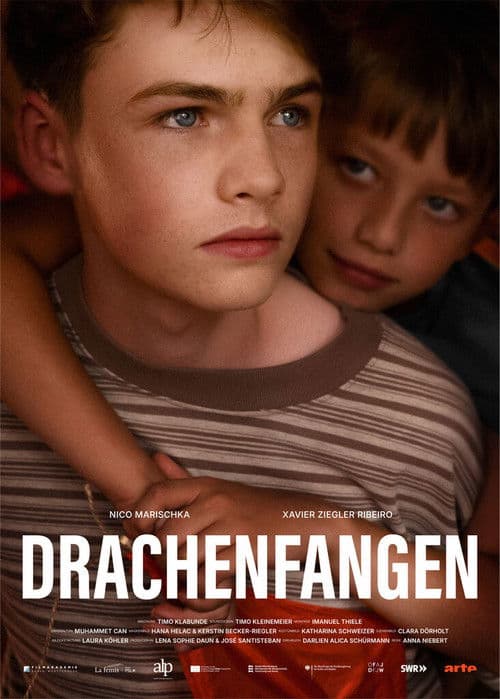Drachenfangen poster