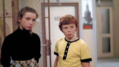 Sova sídlí v dutém stromě poster