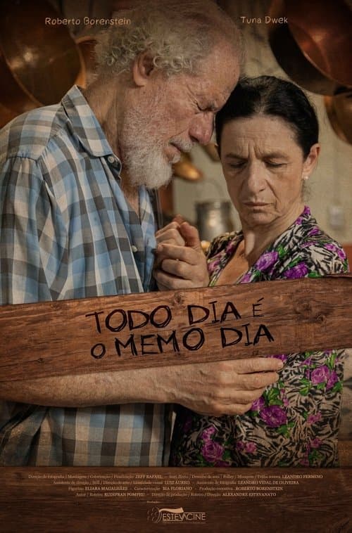 Todo Dia É O Memo Dia poster