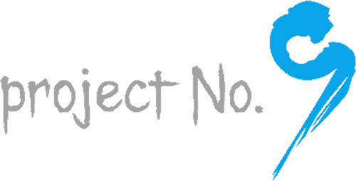 project No.9