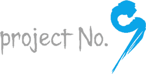 project No.9