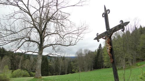 Šumava Vladimíra Horpeniaka poster