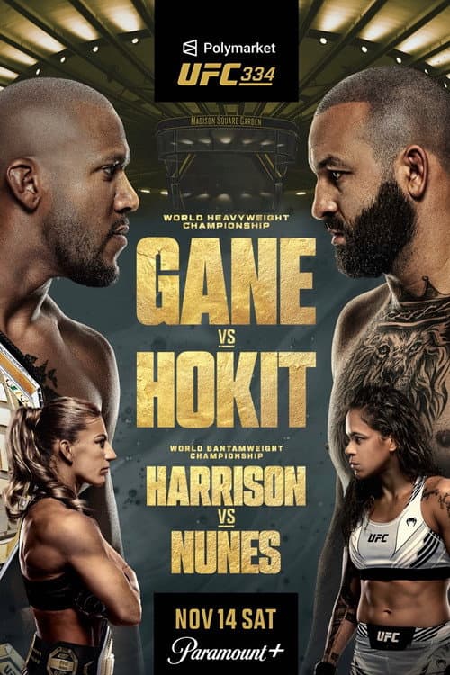 UFC 334: Gane vs. Hokit poster