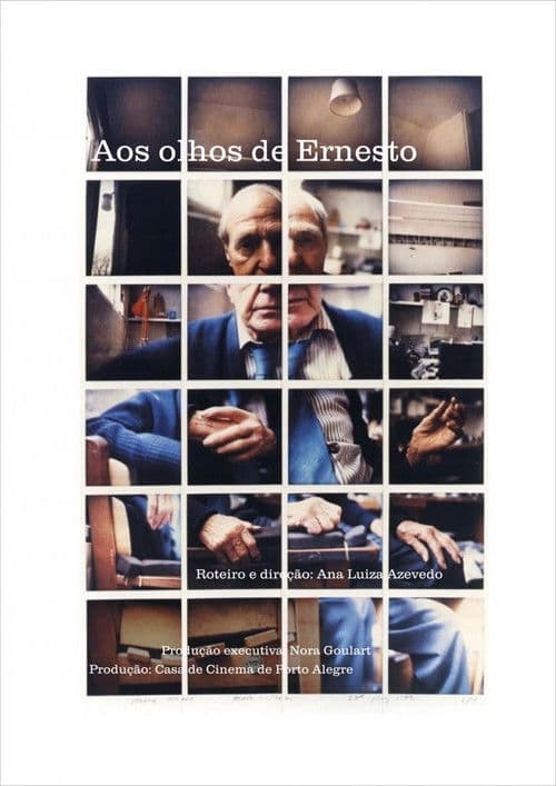 Through Ernesto's Eyes poster