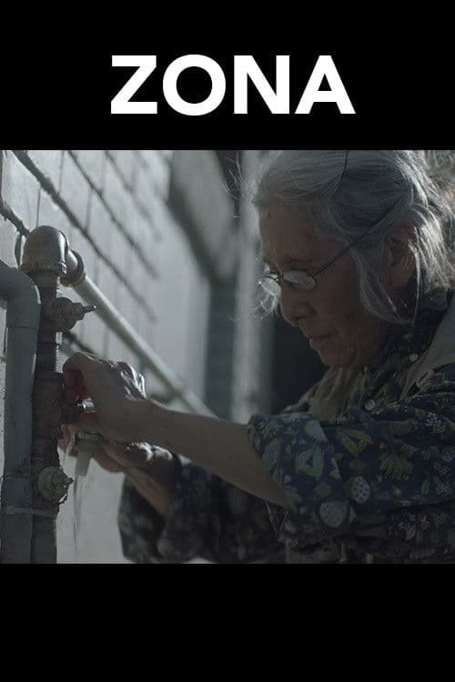 ZONA poster