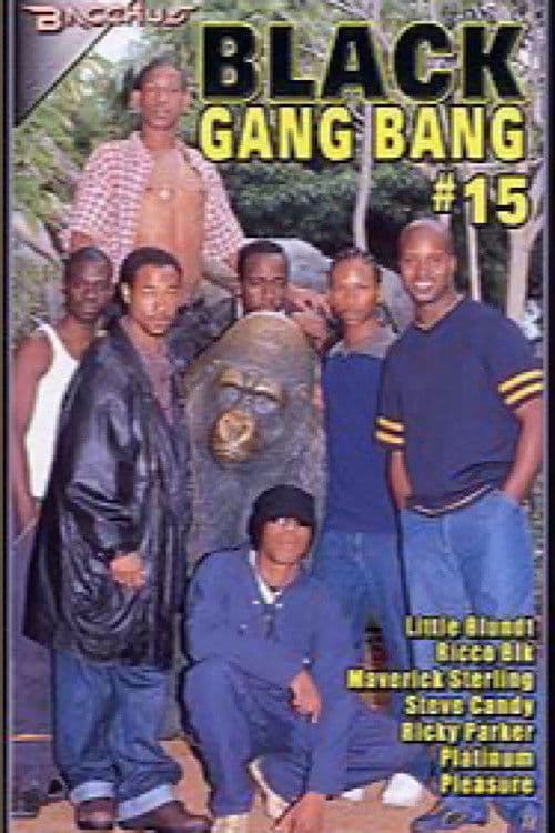 Black Gang Bang 15 poster