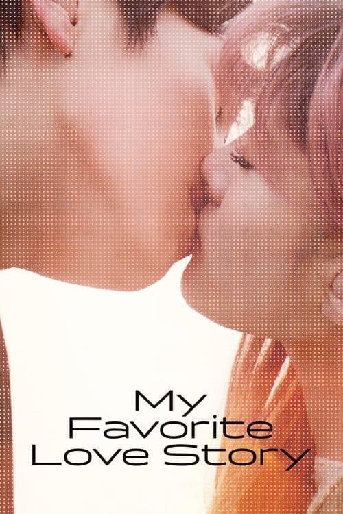 My Favorite Love Story poster