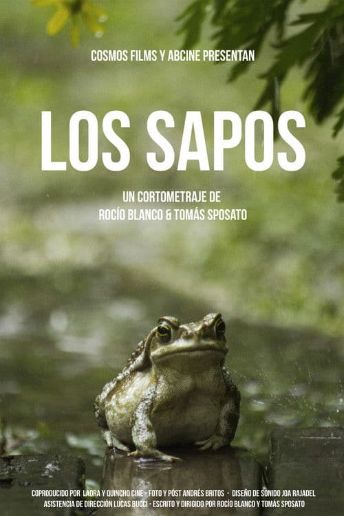 Los sapos poster