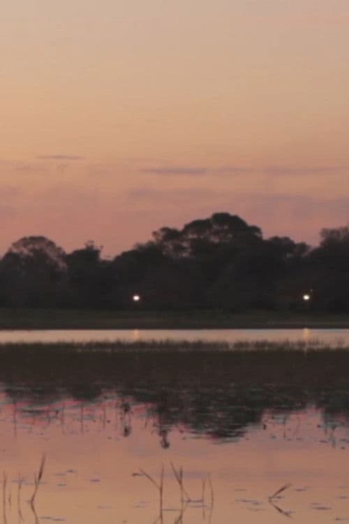 La patria de todos los tarros de colores poster
