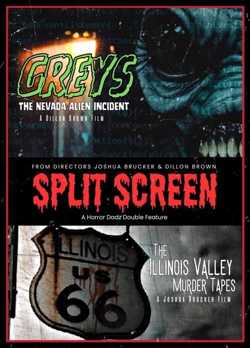 Split Screen poster