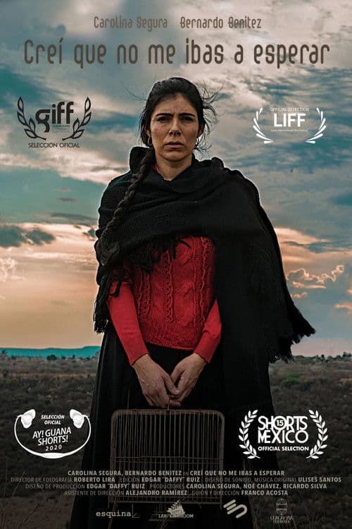 I Thought You Were Not Going to Wait for Me poster