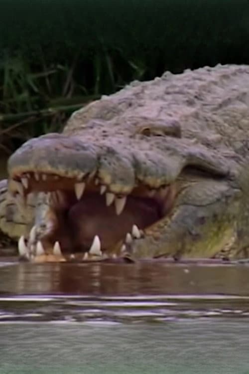 Gustave the Crocodile profile photo