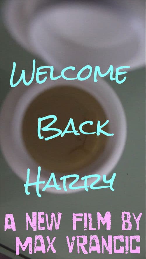 Welcome Back Harry poster