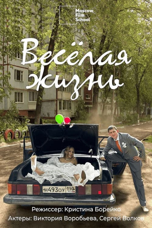 Весёлая жизнь poster