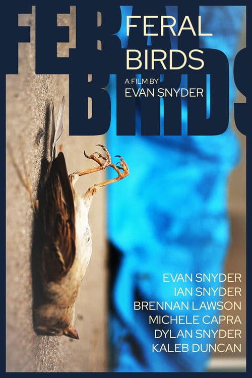 Feral Birds poster
