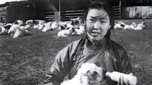 The Beginning poster