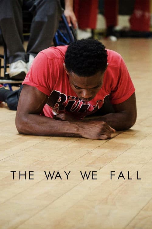 The Way We Fall poster
