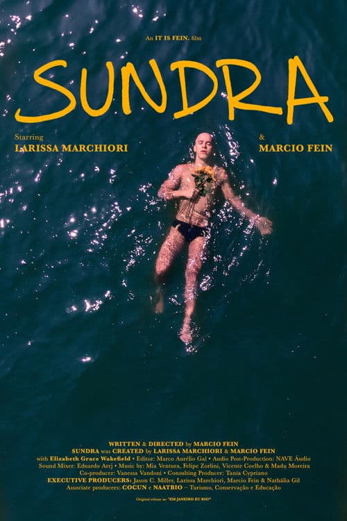 Em Janeiro Eu Rio poster