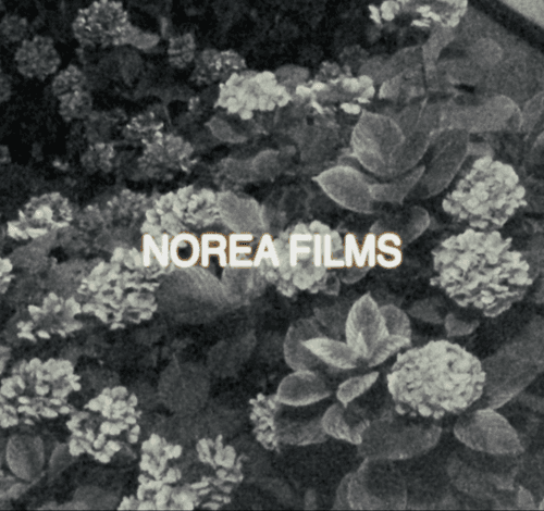Norea Films