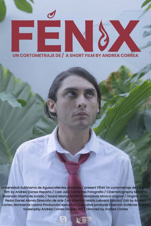FENIX poster