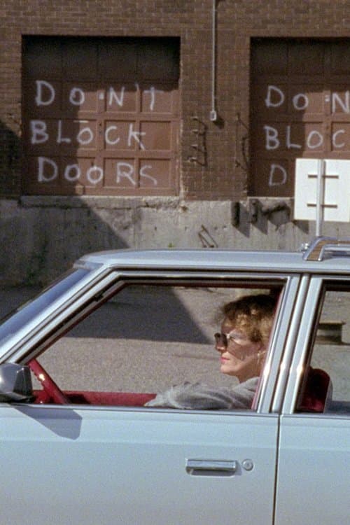 Calamity Jane & Delphine Seyrig: A Story poster