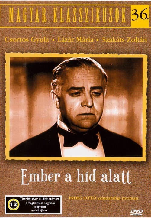 The Man Under the Bridge poster