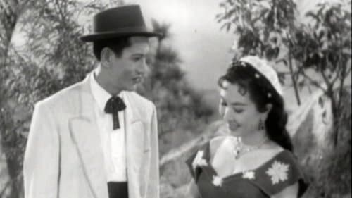 The Prince's Romantic Affairs poster