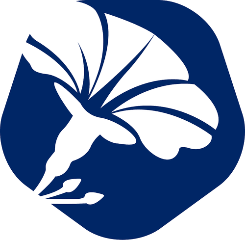 Bureau of Audiovisual and Music Industry Development