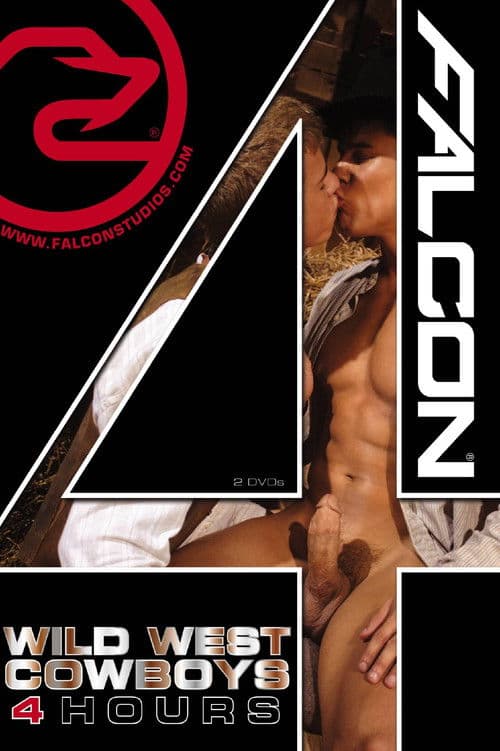 Wild West Cowboys poster