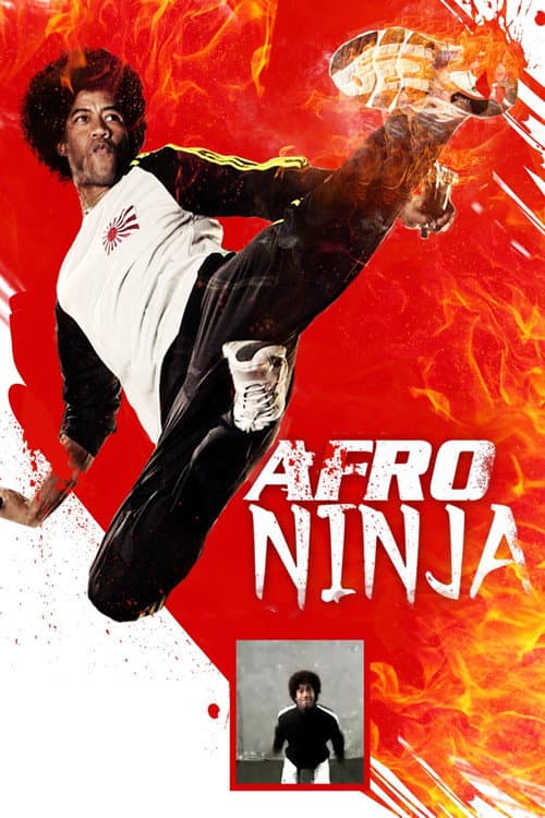 Afro Ninja poster