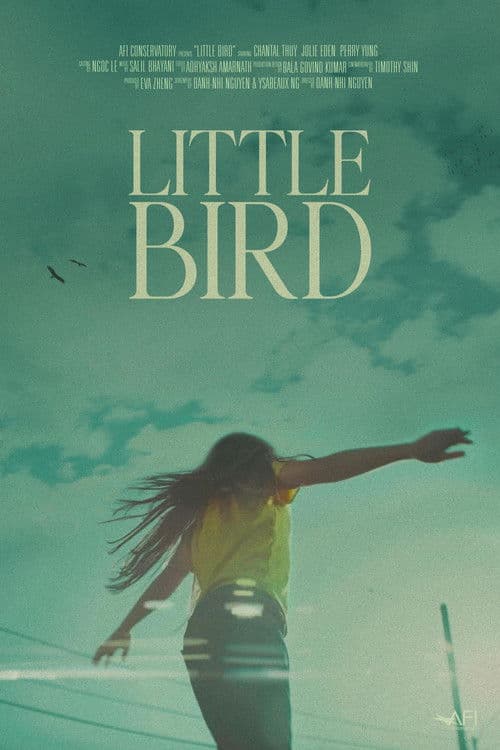 Little Bird poster