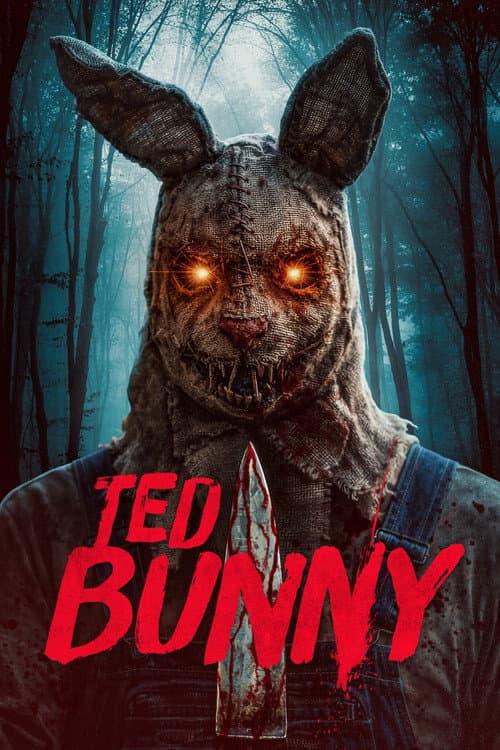 Ted Bunny poster