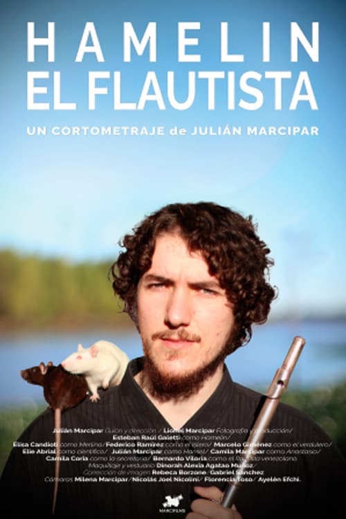 Hamelin, el flautista poster
