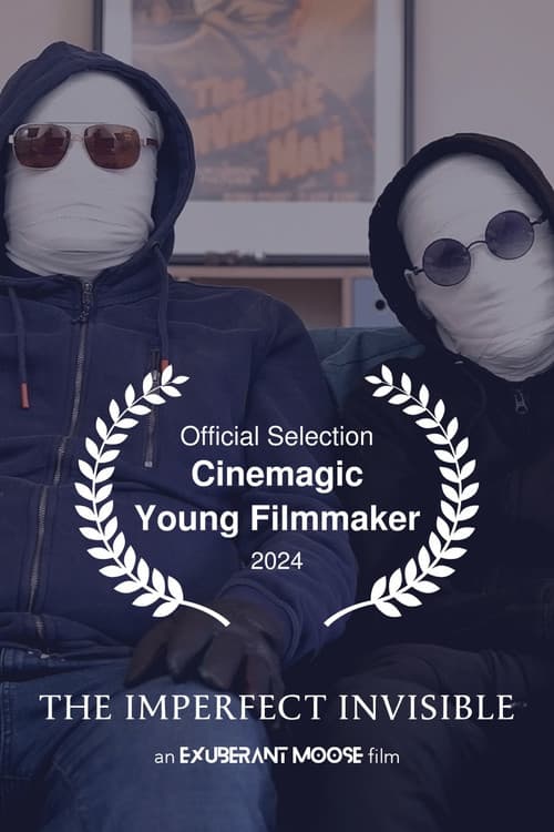 The Imperfect Invisible poster