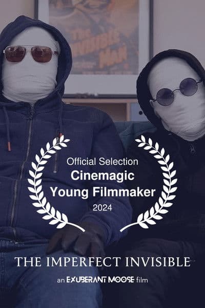 The Imperfect Invisible poster