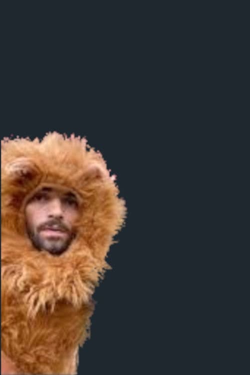 Mountain Lion: Healing Film of St. Francis poster