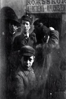 Zorn bakom kameran poster