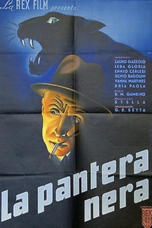 La pantera nera poster