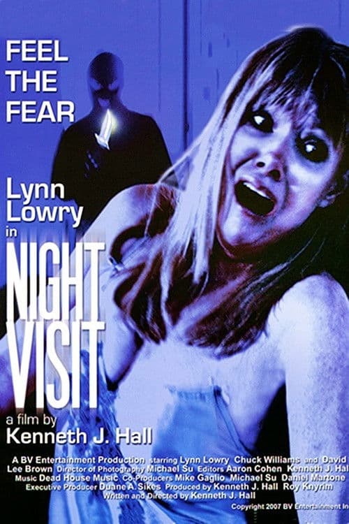 Night Visit poster