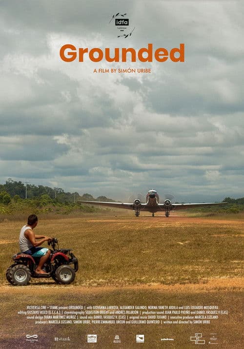 Grounded poster