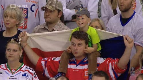 Hrdinové pod maskou poster